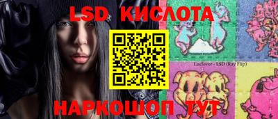 гидра Владимир