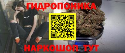 гидра Владимир