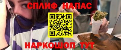 гидра Владикавказ