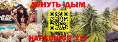 гидра Владимир