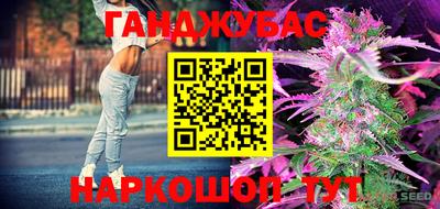 гидра Владимир