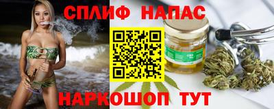 гидра Владикавказ