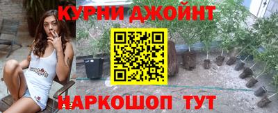 гидра Владимир