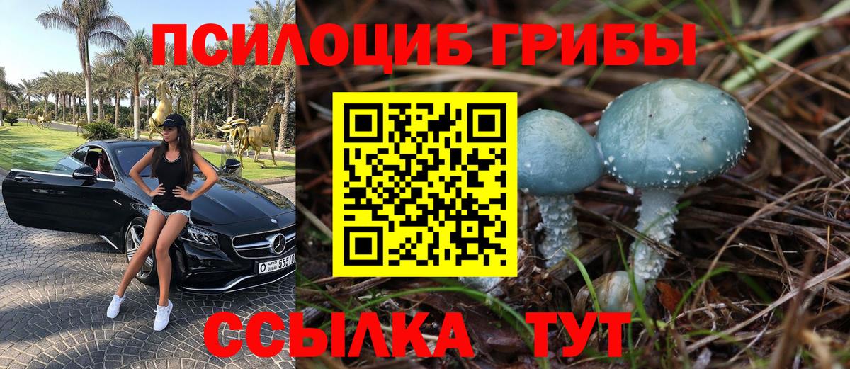 Псилоцибиновые грибы прущие грибы  Вход с VPN  Самара  Галлюциногенные грибы ЛСД 