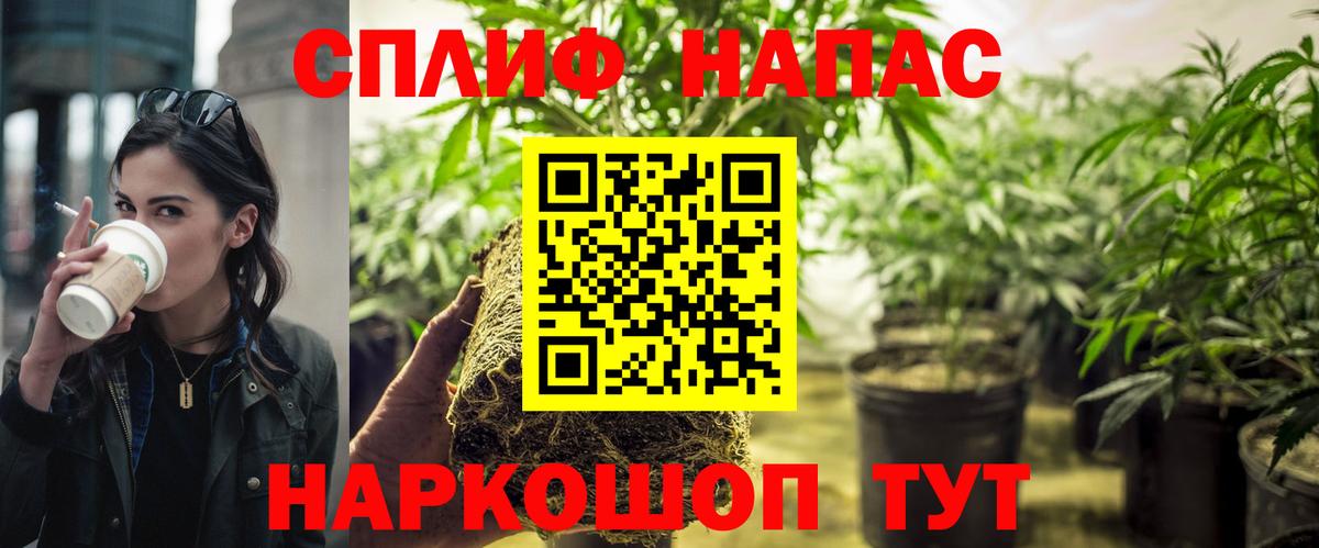 МАРИХУАНА сатива  МАРИХУАНА марихуана  Вход с VPN  Самара  Бошки марихуана White Widow  Канабис Bruce Banner 
